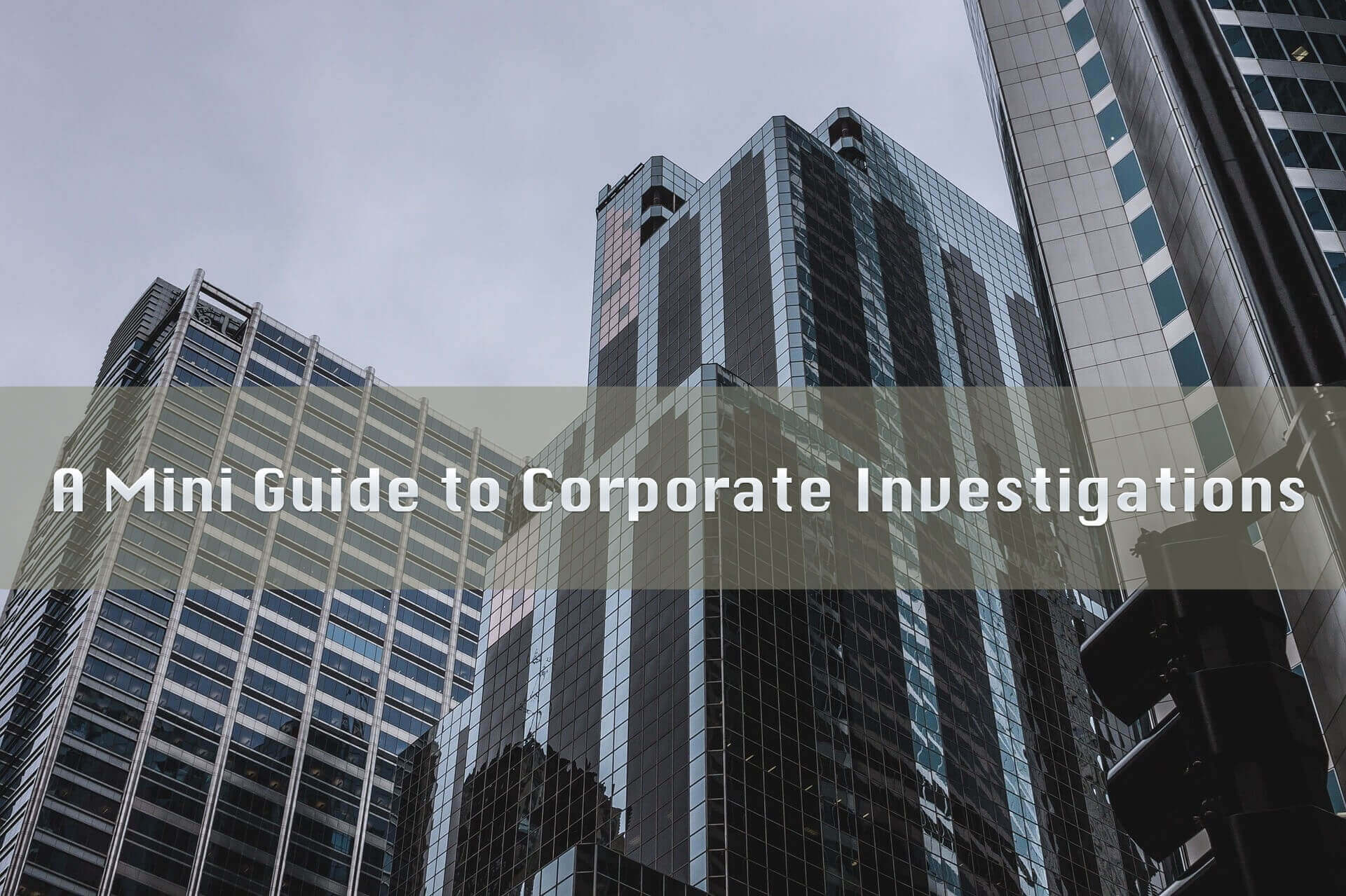 Mini Guide to Corporate Investigations Graphic