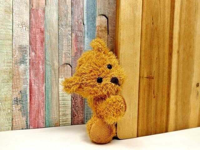 teddy bear hidden camera