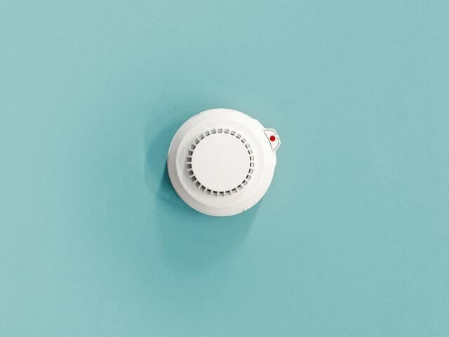 Smoke detector cameras