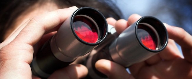 private investigator